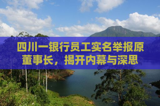 四川一银行员工实名举报原董事长，揭开内幕与深思