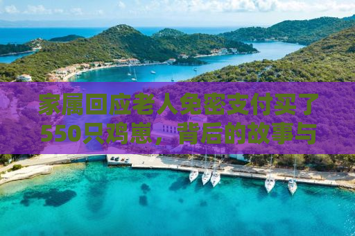 家属回应老人免密支付买了550只鸡崽，背后的故事与反思