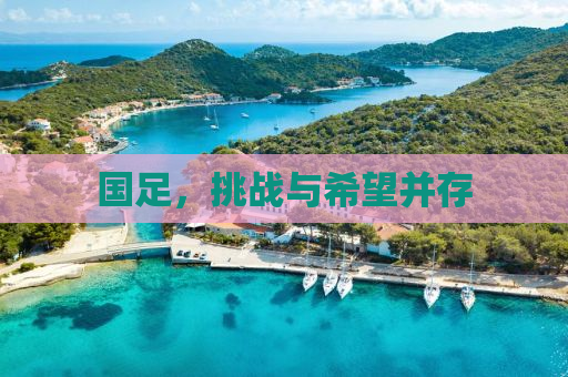 国足，挑战与希望并存