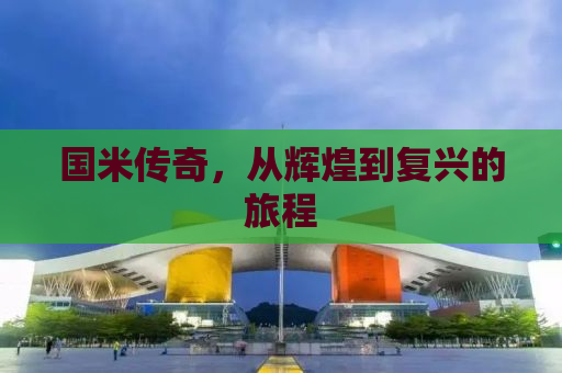 国米传奇，从辉煌到复兴的旅程
