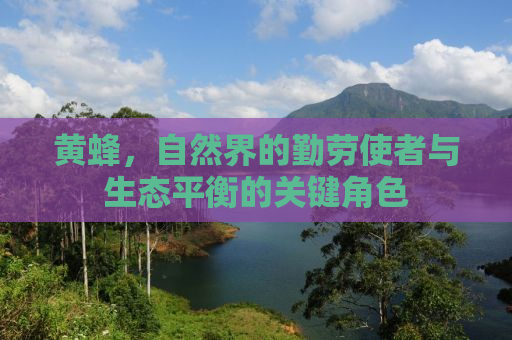 黄蜂，自然界的勤劳使者与生态平衡的关键角色