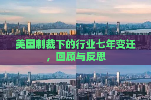 美国制裁下的行业七年变迁，回顾与反思