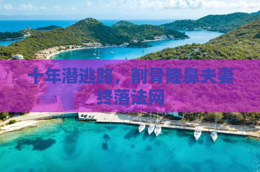 十年潜逃路，削骨隆鼻夫妻终落法网