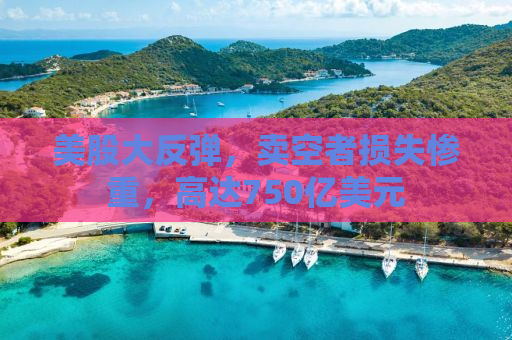 美股大反弹，卖空者损失惨重，高达750亿美元