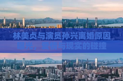 林美贞与演员孙兴离婚原因曝光，爱情与现实的碰撞