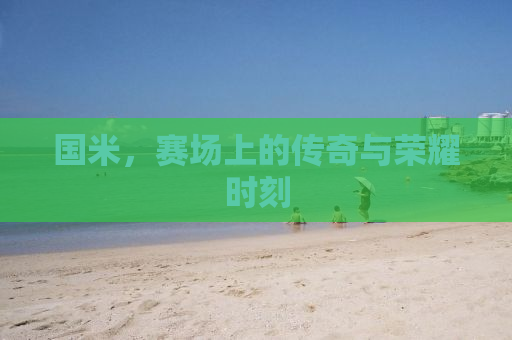 国米，赛场上的传奇与荣耀时刻