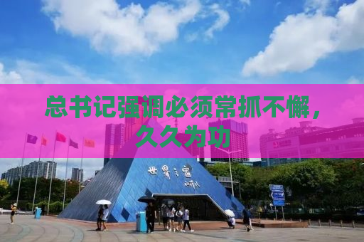 总书记强调必须常抓不懈，久久为功