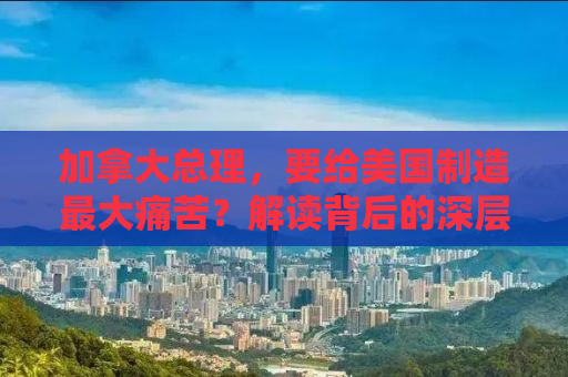 加拿大总理，要给美国制造最大痛苦？解读背后的深层含义与两国关系挑战