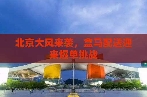 北京大风来袭，盒马配送迎来爆单挑战