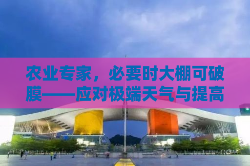 农业专家，必要时大棚可破膜——应对极端天气与提高作物产量的策略探讨