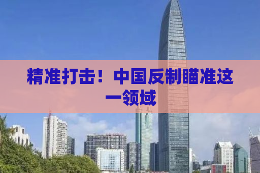 精准打击！中国反制瞄准这一领域