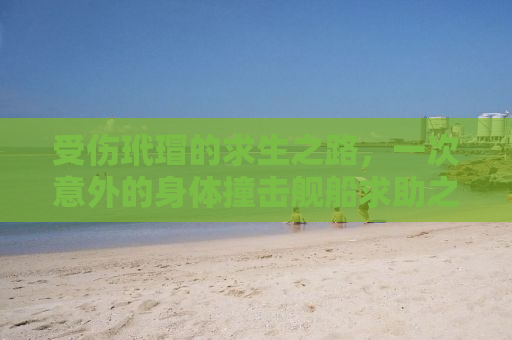 受伤玳瑁的求生之路，一次意外的身体撞击舰船求助之旅