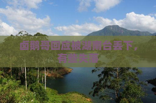 卤鹅哥回应被湖南台丢下，有些失落