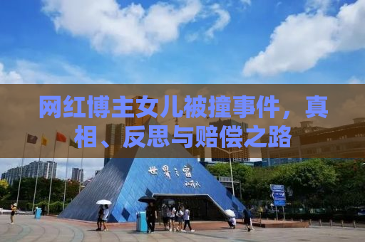 网红博主女儿被撞事件，真相、反思与赔偿之路