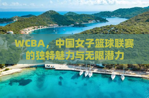 WCBA，中国女子篮球联赛的独特魅力与无限潜力