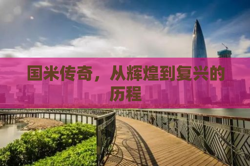 国米传奇，从辉煌到复兴的历程