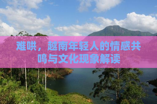 难哄，越南年轻人的情感共鸣与文化现象解读