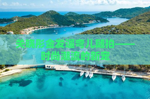 关晓彤金发遛弯儿随拍——时尚潮流的新宠