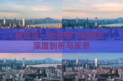 初见录一半全睡了的综艺，深度剖析与反思