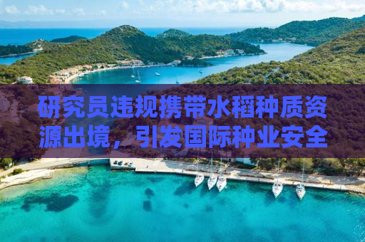 研究员违规携带水稻种质资源出境，引发国际种业安全危机