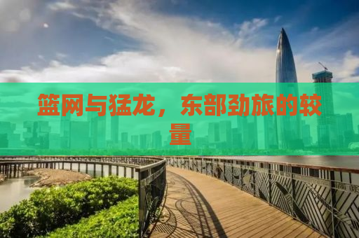 篮网与猛龙，东部劲旅的较量