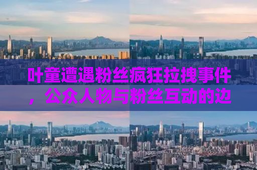 叶童遭遇粉丝疯狂拉拽事件，公众人物与粉丝互动的边界问题探讨