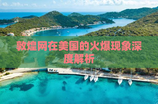 敦煌网在美国的火爆现象深度解析