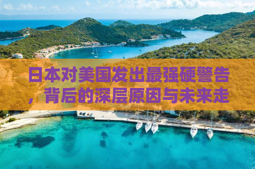 日本对美国发出最强硬警告，背后的深层原因与未来走向