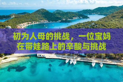 初为人母的挑战，一位宝妈在带娃路上的辛酸与挑战
