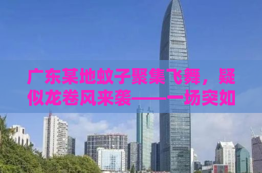 广东某地蚊子聚集飞舞，疑似龙卷风来袭——一场突如其来的生态现象观察