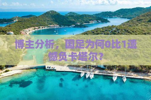 博主分析，国足为何0比1遗憾负卡塔尔？
