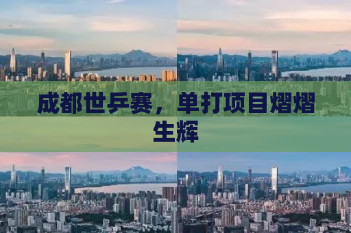 成都世乒赛，单打项目熠熠生辉