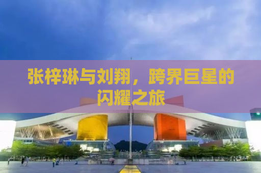 张梓琳与刘翔，跨界巨星的闪耀之旅