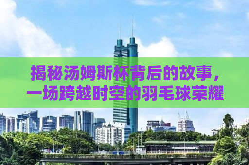 揭秘汤姆斯杯背后的故事，一场跨越时空的羽毛球荣耀之战（2010年汤姆斯杯回顾）