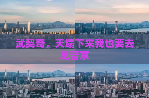 武契奇，天塌下来我也要去见普京