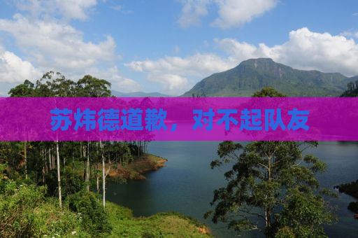 苏炜德道歉，对不起队友