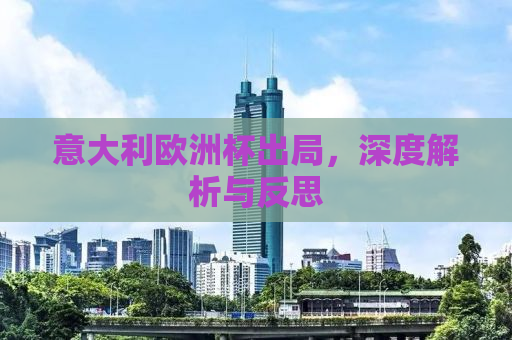 意大利欧洲杯出局，深度解析与反思