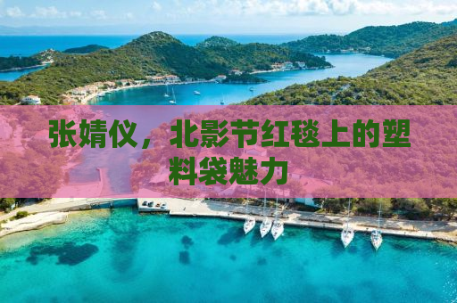 张婧仪，北影节红毯上的塑料袋魅力
