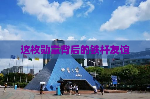 这枚勋章背后的铁杆友谊