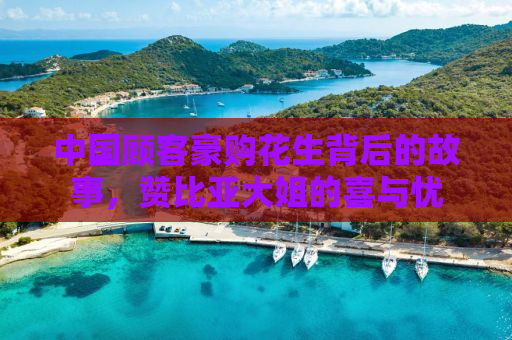 中国顾客豪购花生背后的故事，赞比亚大姐的喜与忧