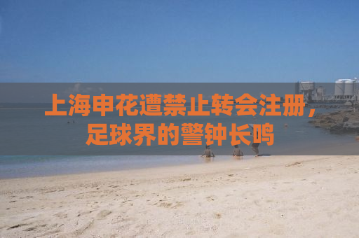 上海申花遭禁止转会注册，足球界的警钟长鸣