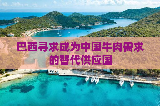 巴西寻求成为中国牛肉需求的替代供应国
