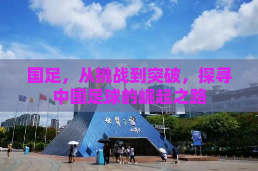 国足，从挑战到突破，探寻中国足球的崛起之路