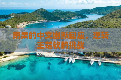 雨果的中文幽默回应，逆转王楚钦的挑战