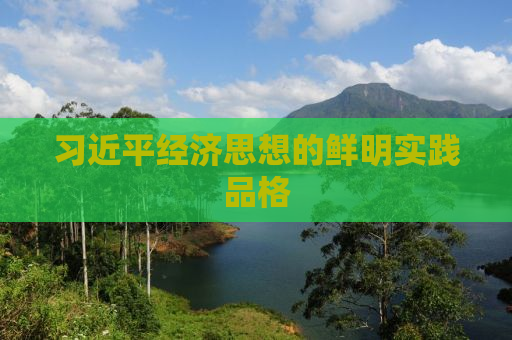 习近平经济思想的鲜明实践品格
