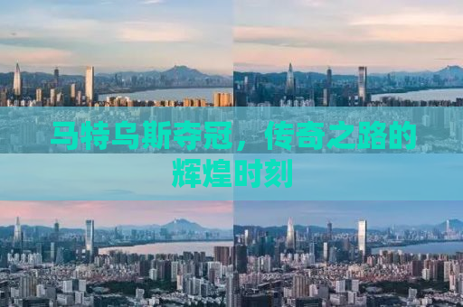 马特乌斯夺冠，传奇之路的辉煌时刻